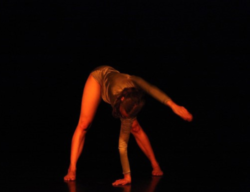 FR, 29. Nov. „Archive meets Artist“ am Tanzfestival Winterthur